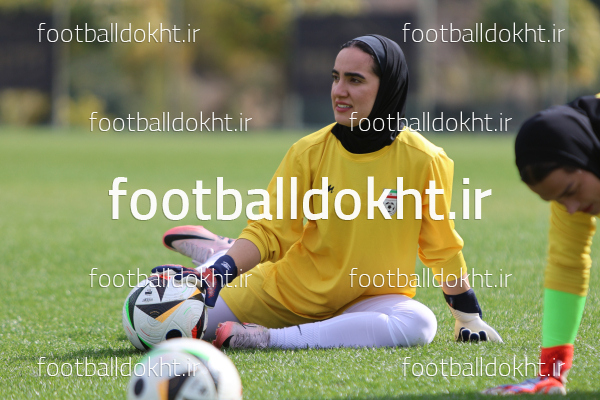 مینا نافعی