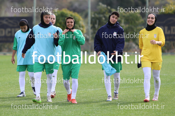 مینا نافعی
