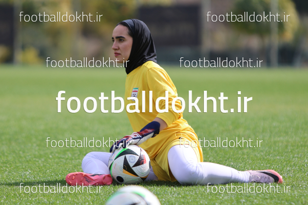 مینا نافعی