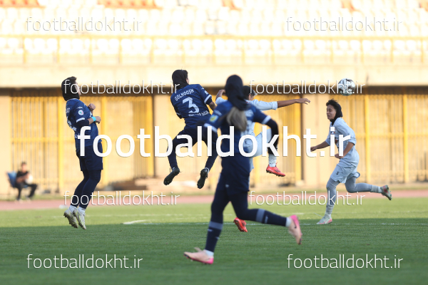 گلنوش خسروی