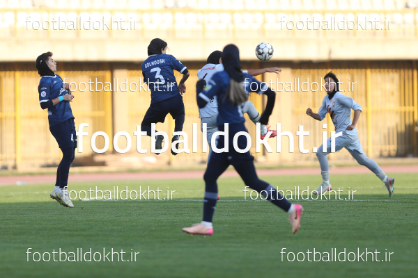 گلنوش خسروی